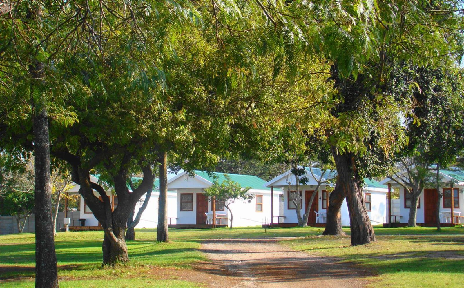 George Campsite *